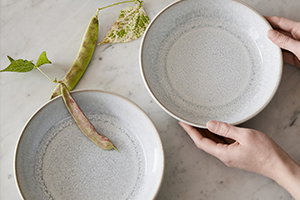 Shop Dinner Sets