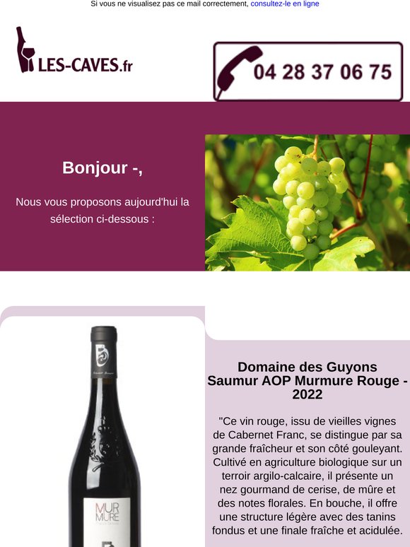 Aujourd'hui Domaine des Guyons - Saumur Murmure Rouge et Minervois - Luc Lapeyre, L'Amourier Rouge