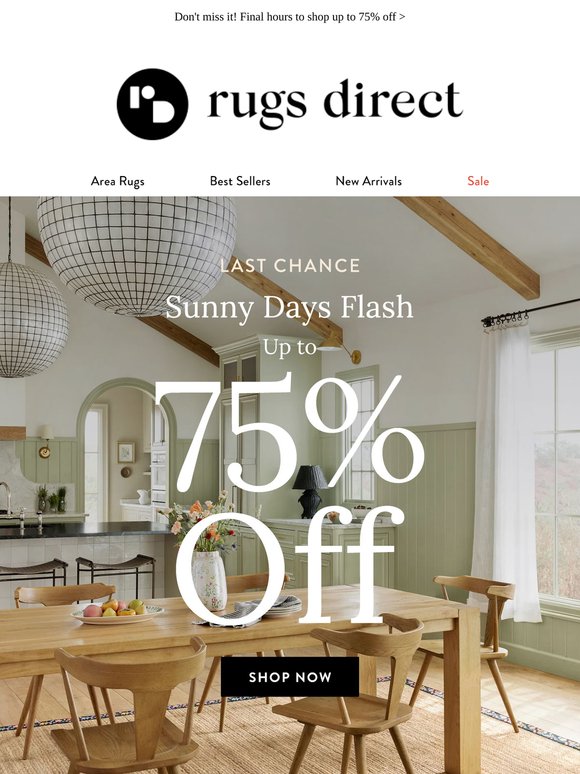 LAST CHANCE: Sunny Days Flash ⚡