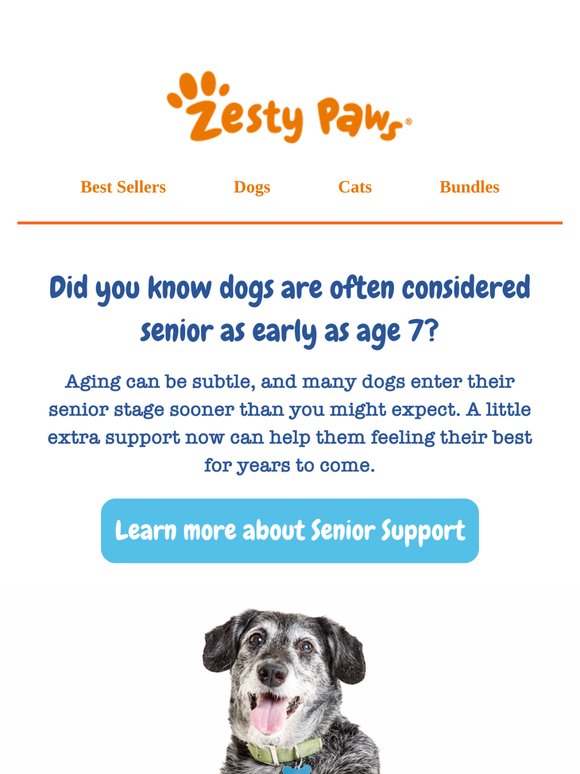 💙 Your pup might be more senior than you think 🐶