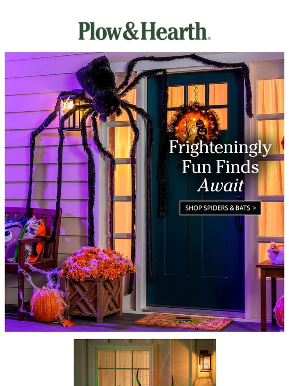 Bats, Spiders & Halloween Vibes 🕷️