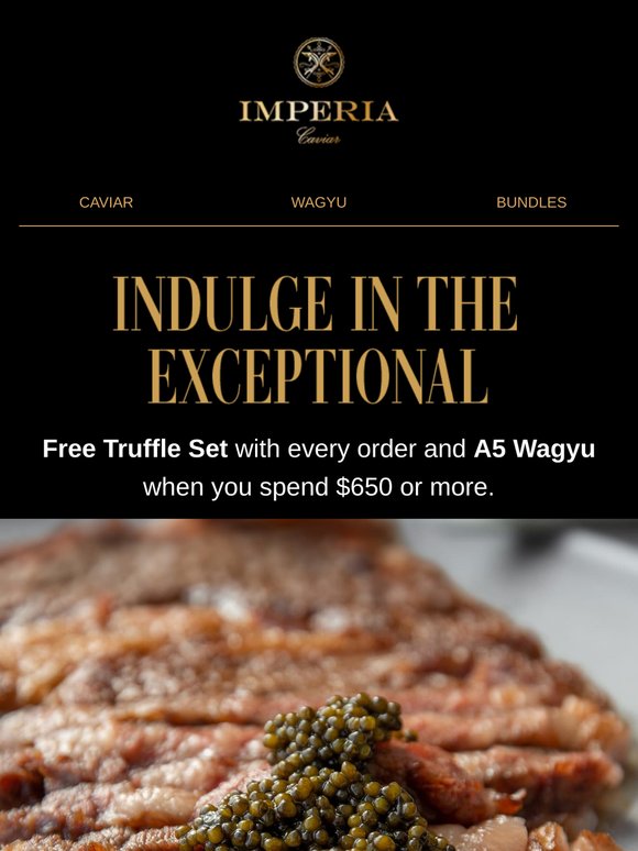 Make Every Meal Unforgettable 🎁