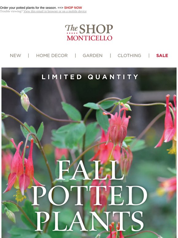 Fall Potted Plants!  Pre-Order Today!