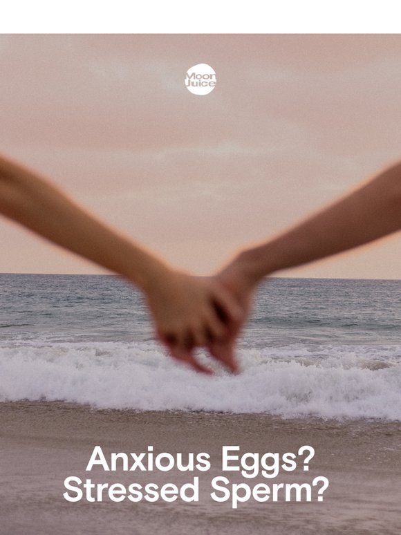 holistic fertility 101