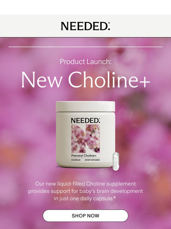 July Recap: What’s New at Needed