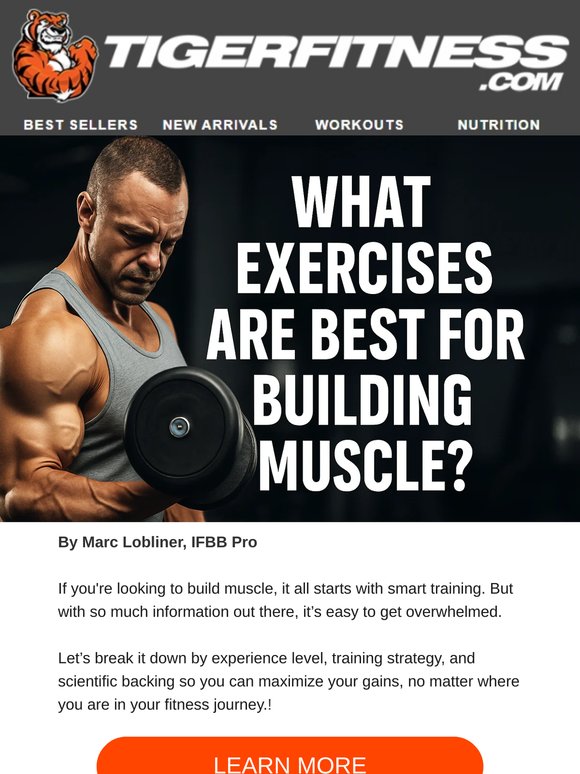 ❓What Exercises Are Best for Building Muscle