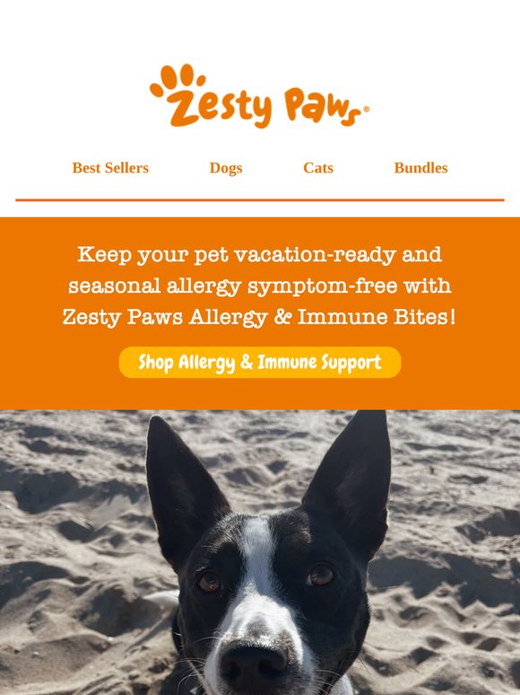🏖️ Beach Days > Itch Days 🐾