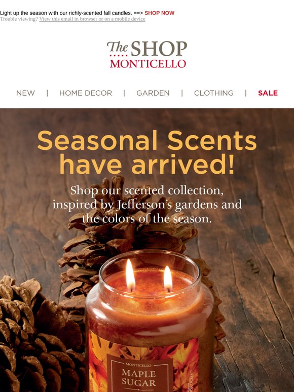 Cozy Up: Fall Candles Have Arrived!