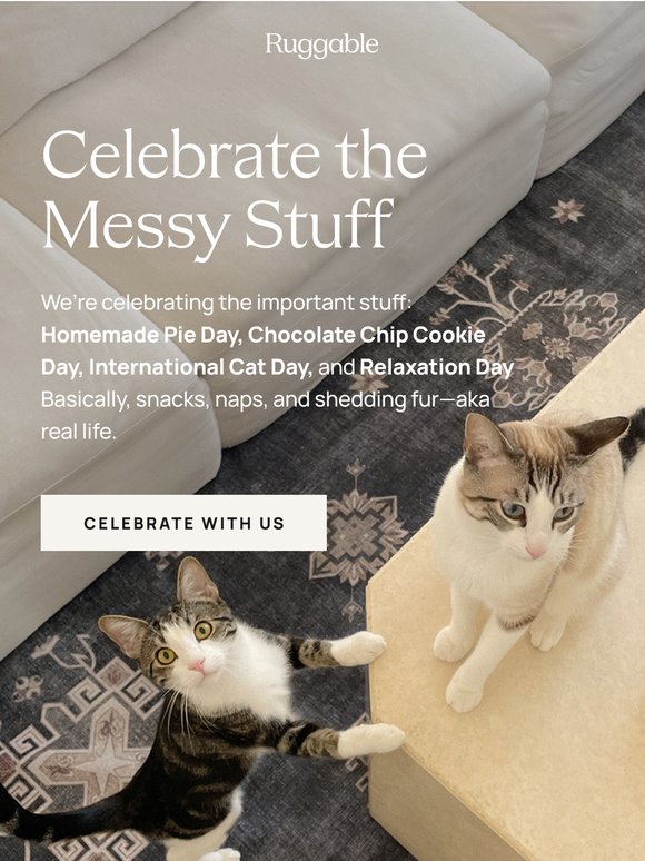 Celebrating crumbs, cats, and coziness