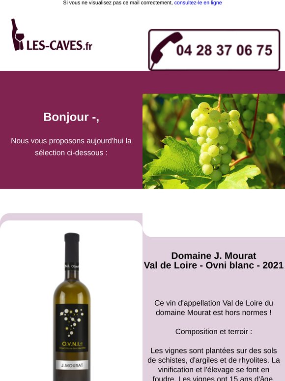 Aujourd'hui Domaine J. Mourat - Val de Loire - Ovni blanc et Château de Marsannay rouge - Marsannay