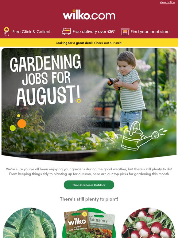 The wilko guide to gardening in August 🌻