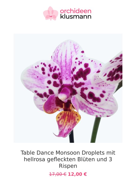 😍 Deine Aktionen zum Wochenende