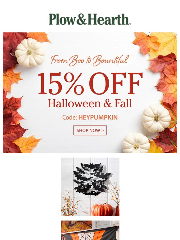 Ghouls Just Wanna Have Fun with 15% off