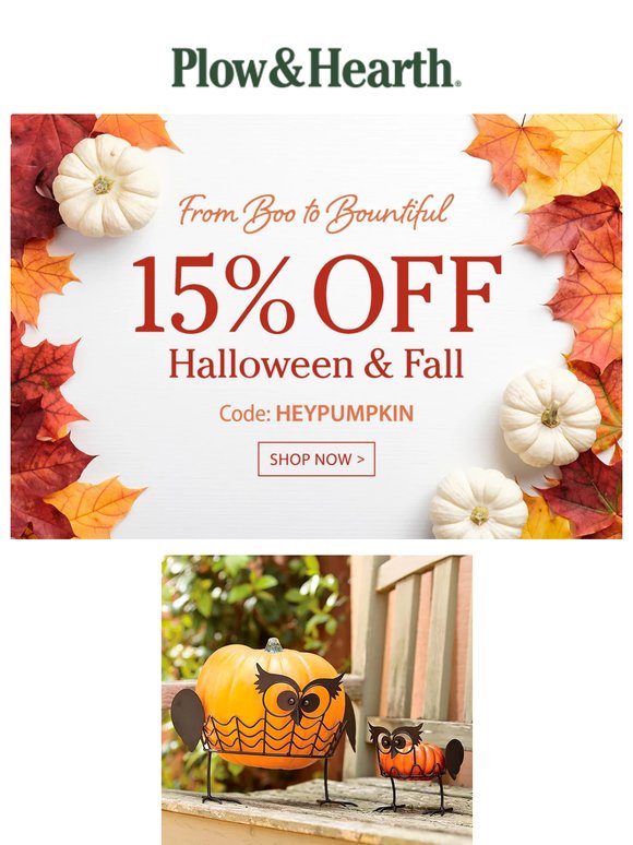 Get 15% off Gourdgeous Decor that Lasts All Season Long
