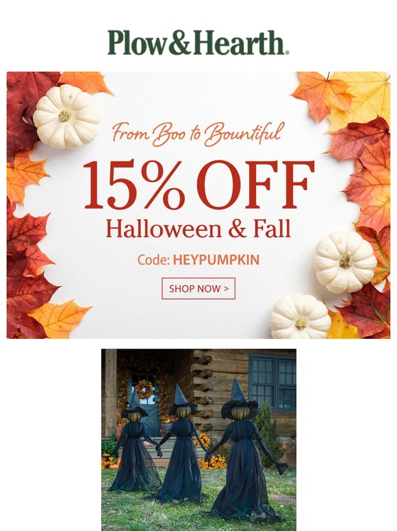 Keep the Cozy Vibes Going with 15% off Halloween & Harvest