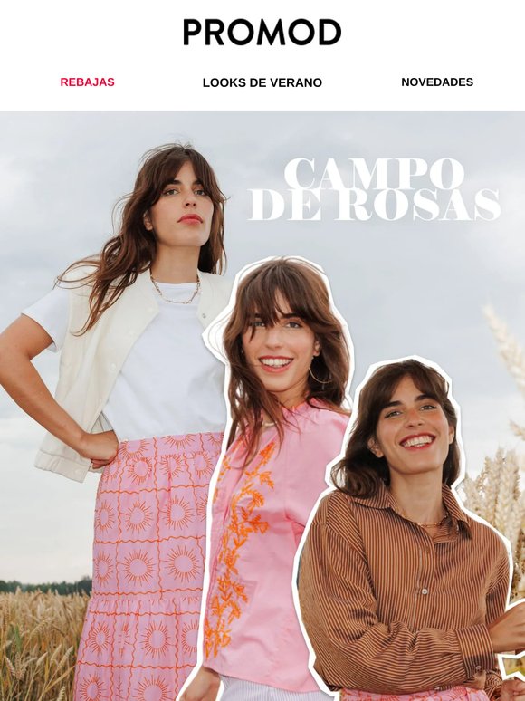 ¡Un campo de rosas!