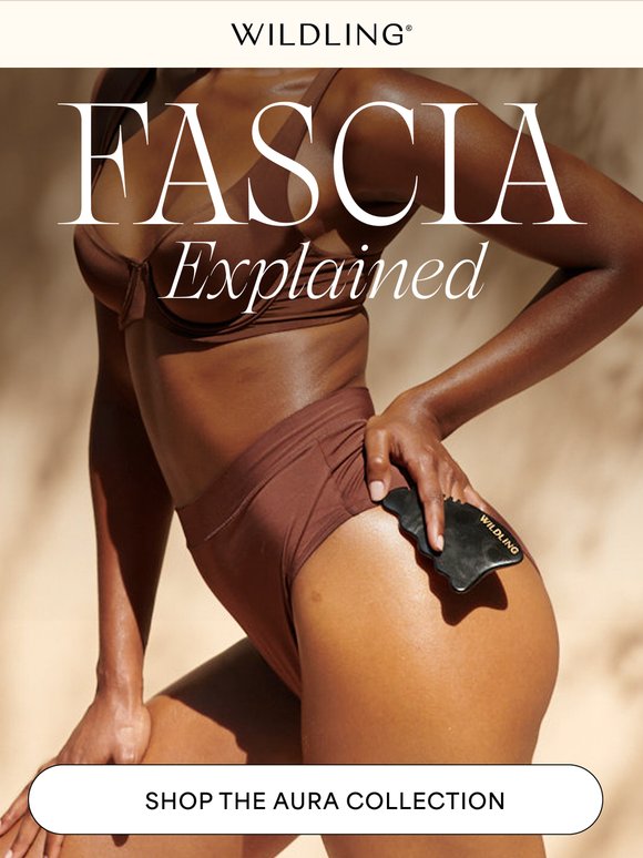✨ Fascia, Explained