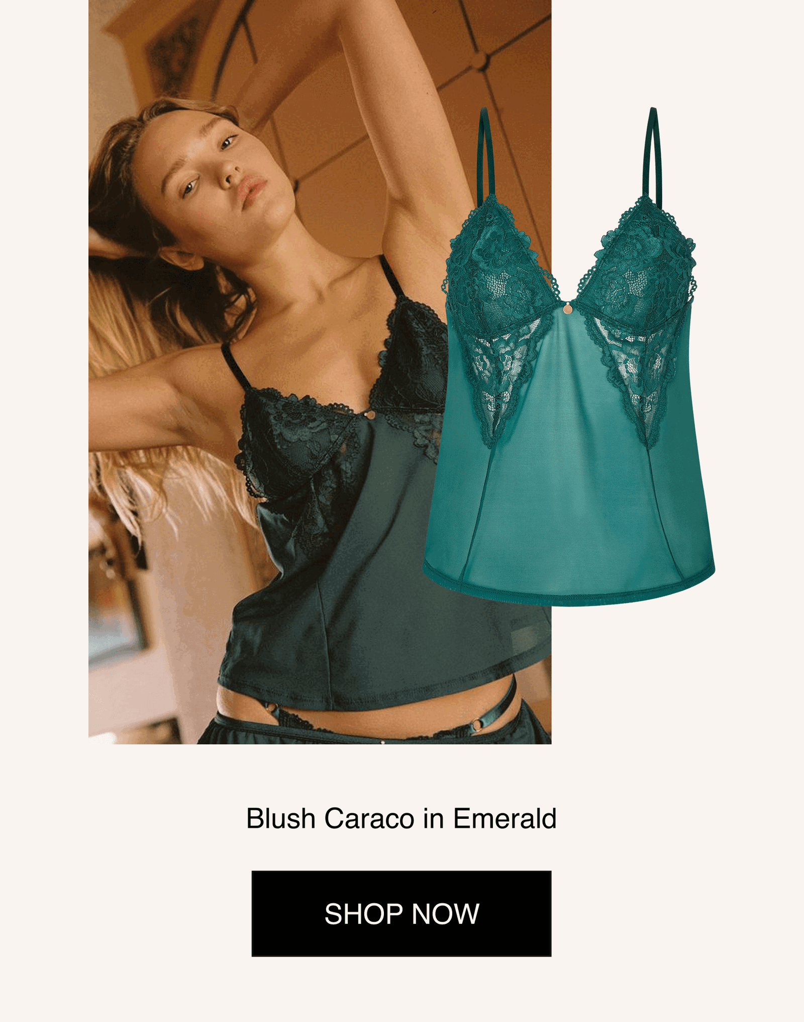 [ SHOP NOW ]