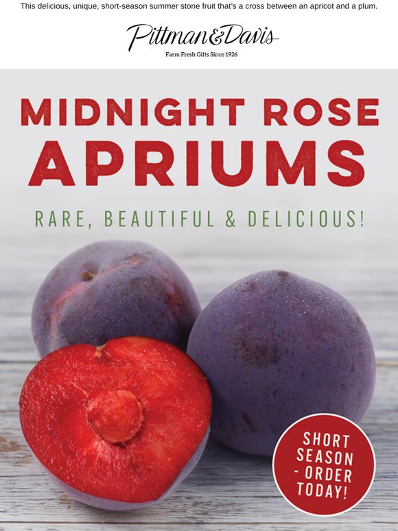 NEW - Midnight Rose Apriums - Rare, Beautiful & Delicious!