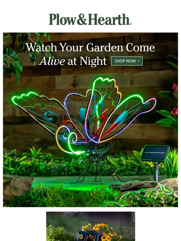 Let Your Garden Shine After Dark 🌟🌟