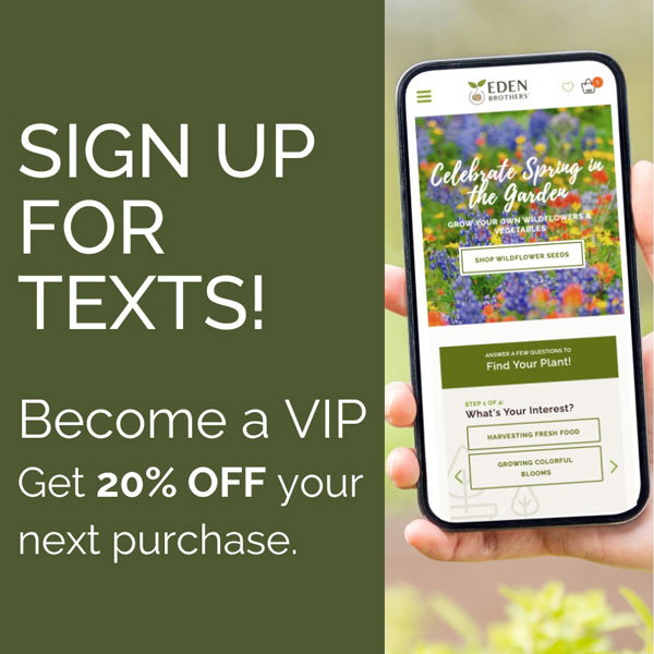 Sign Up for Texts!