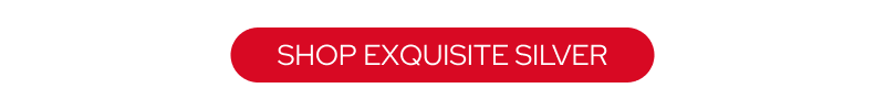 ShopExquisiteSilver