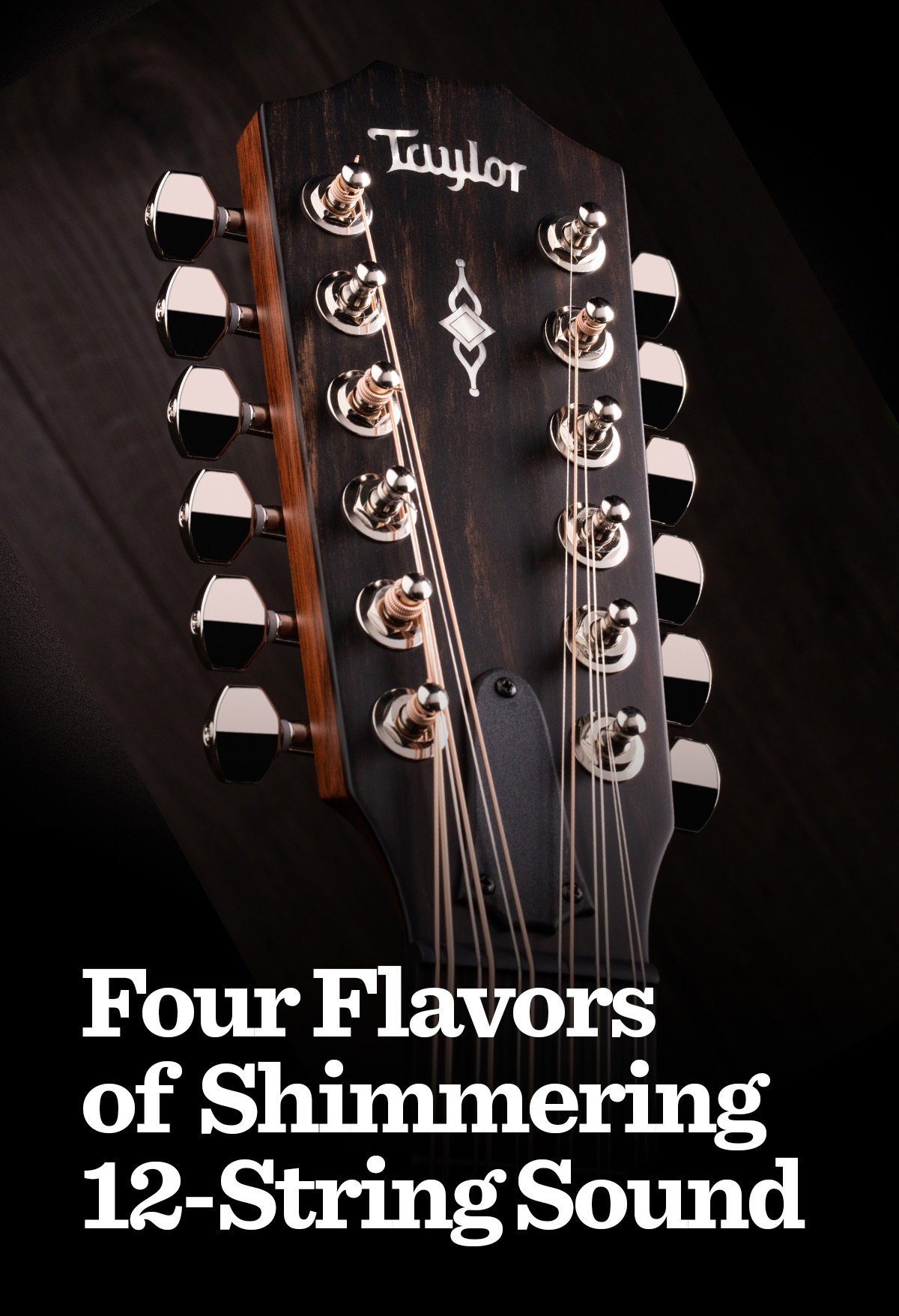 12-String Guitars