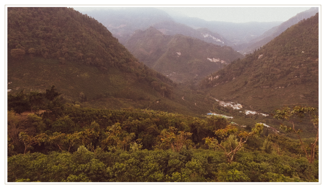 Guatemala El Injerto Bourbon Landscape