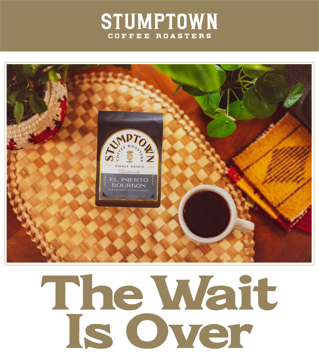 Guatemala El Injerto Bourbon