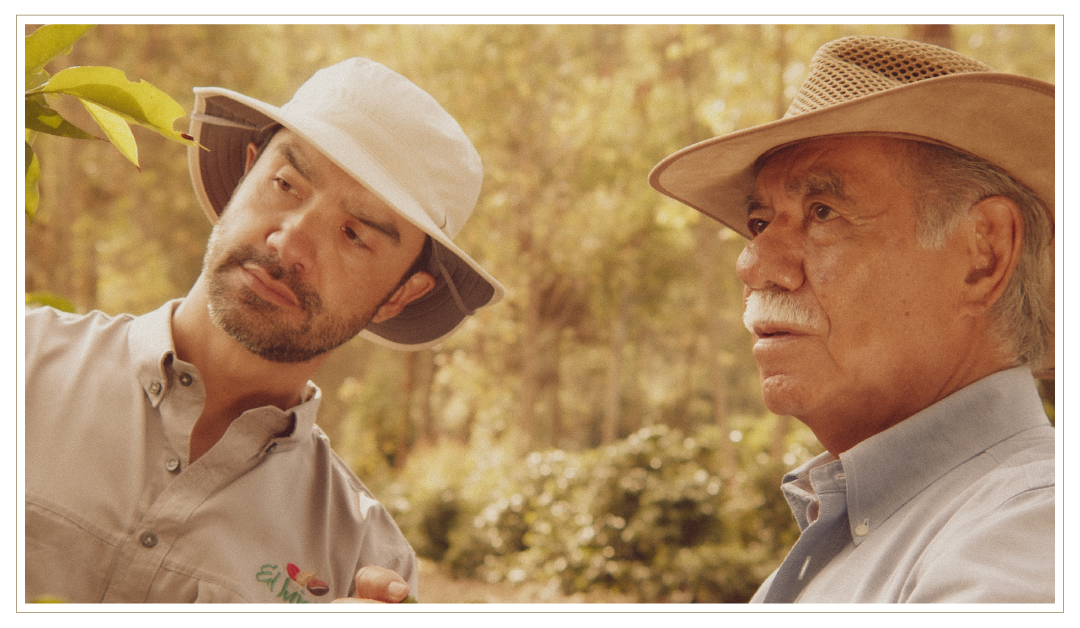 Coffee Growers of Guatemala El Injerto Bourbon