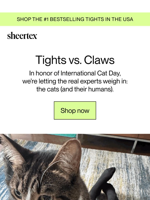 OUR TIGHTS VS. CLAWS 🐱