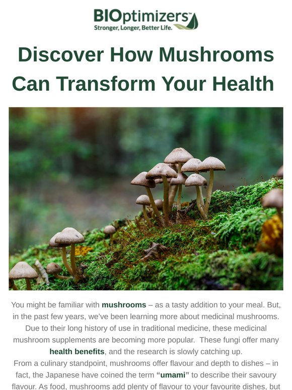🍄‍🟫 Transform your health with Mushrooms 🍄‍🟫