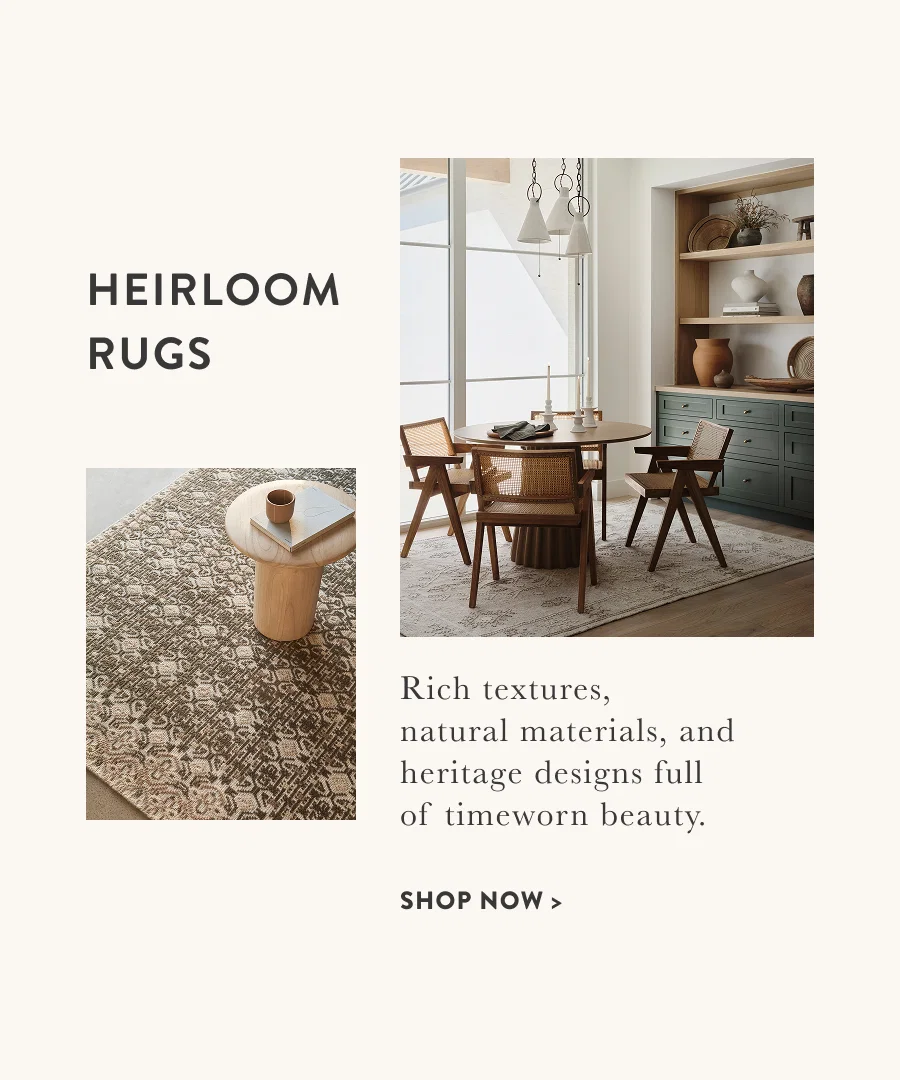 Shop rugs