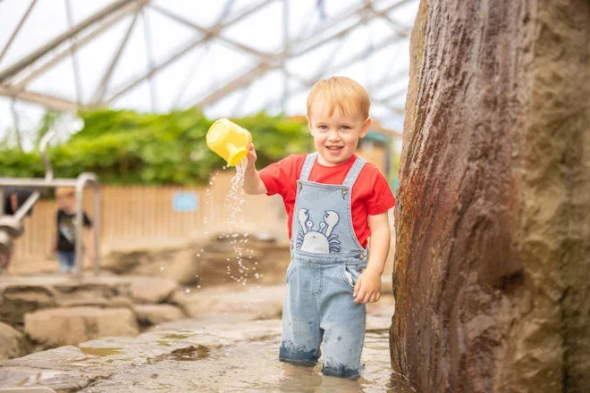 young boy playing at Serendome
