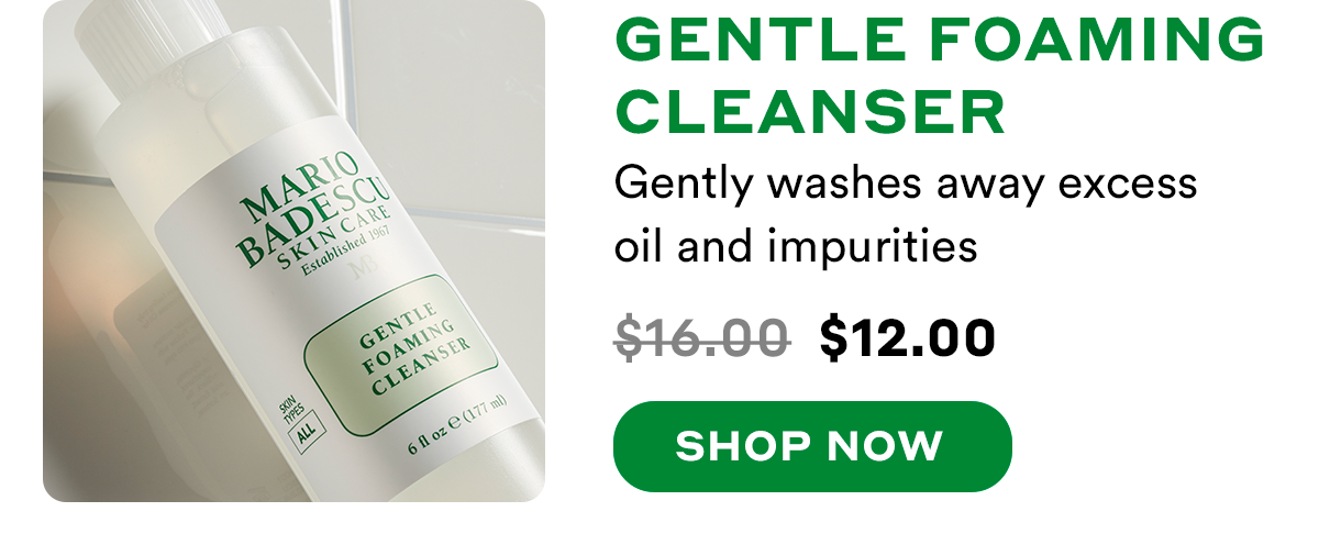 Gentle Foaming Cleanser - Gently washes away excess oil and impurities