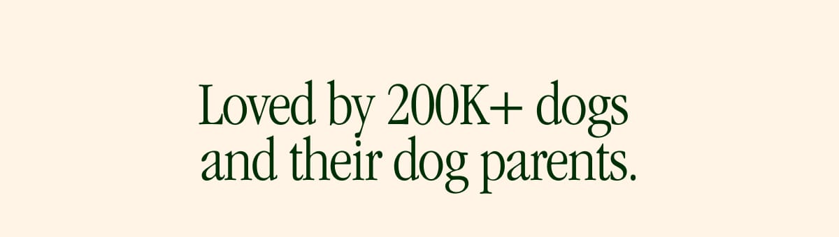Loved by 200K+ dogs and their dog parents.