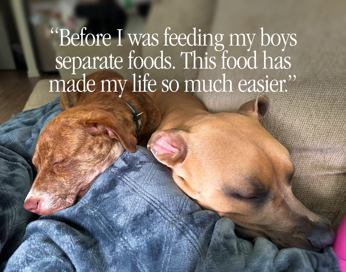 “Before I was feeding my boys separate foods. This food has made my life so much easier.”