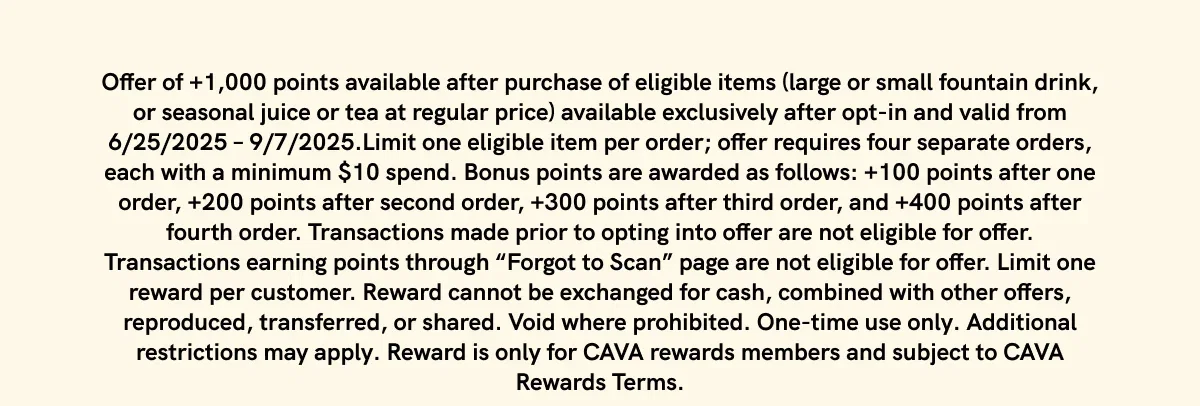 Promo Terms & Conditions