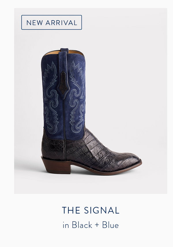 The Signal in Black + Blue