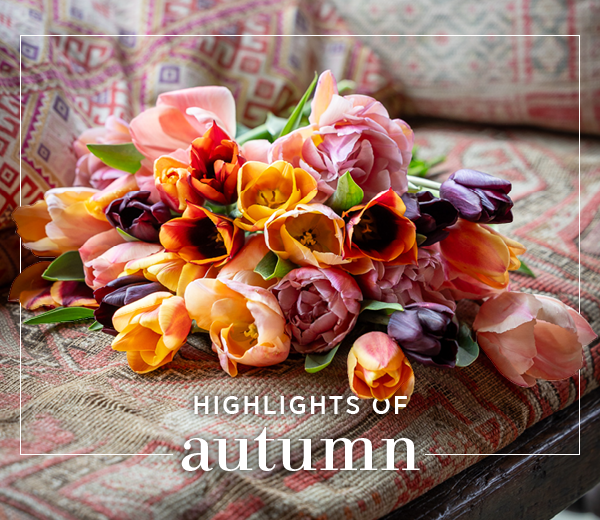 Highlights of autumn