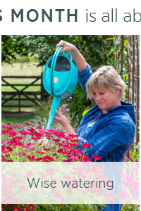 Wise watering