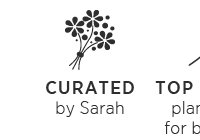 Curated by Sarah.