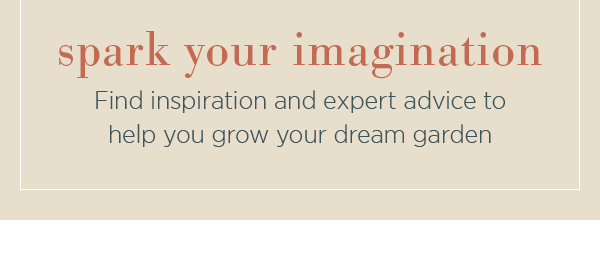 Find inspiration and expert advice to help you grow your dream garden.