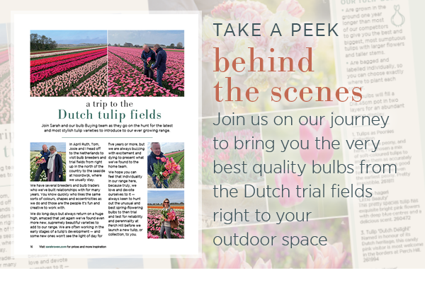 Take a peek behind the scenes. Join us on our journey to bring you the very best quality bulbs from the Dutch trial fields right to your outdoor space.