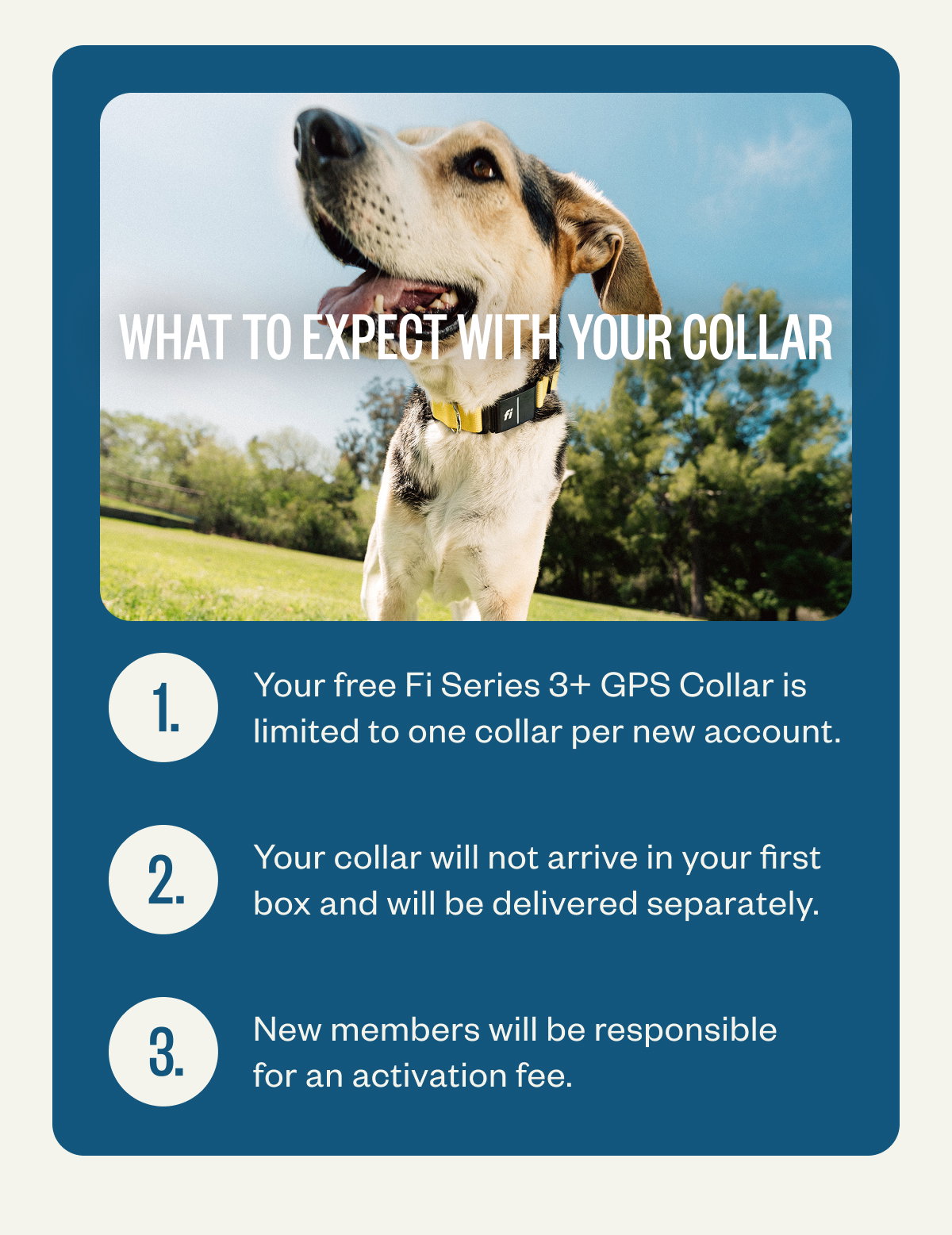 What to expect with your collar Your free Fi Series 3+ GPS Collar is limited to one collar per new account. Your collar will not arrive in your first box and will be delivered separately. New members will be responsible for an activation fee.