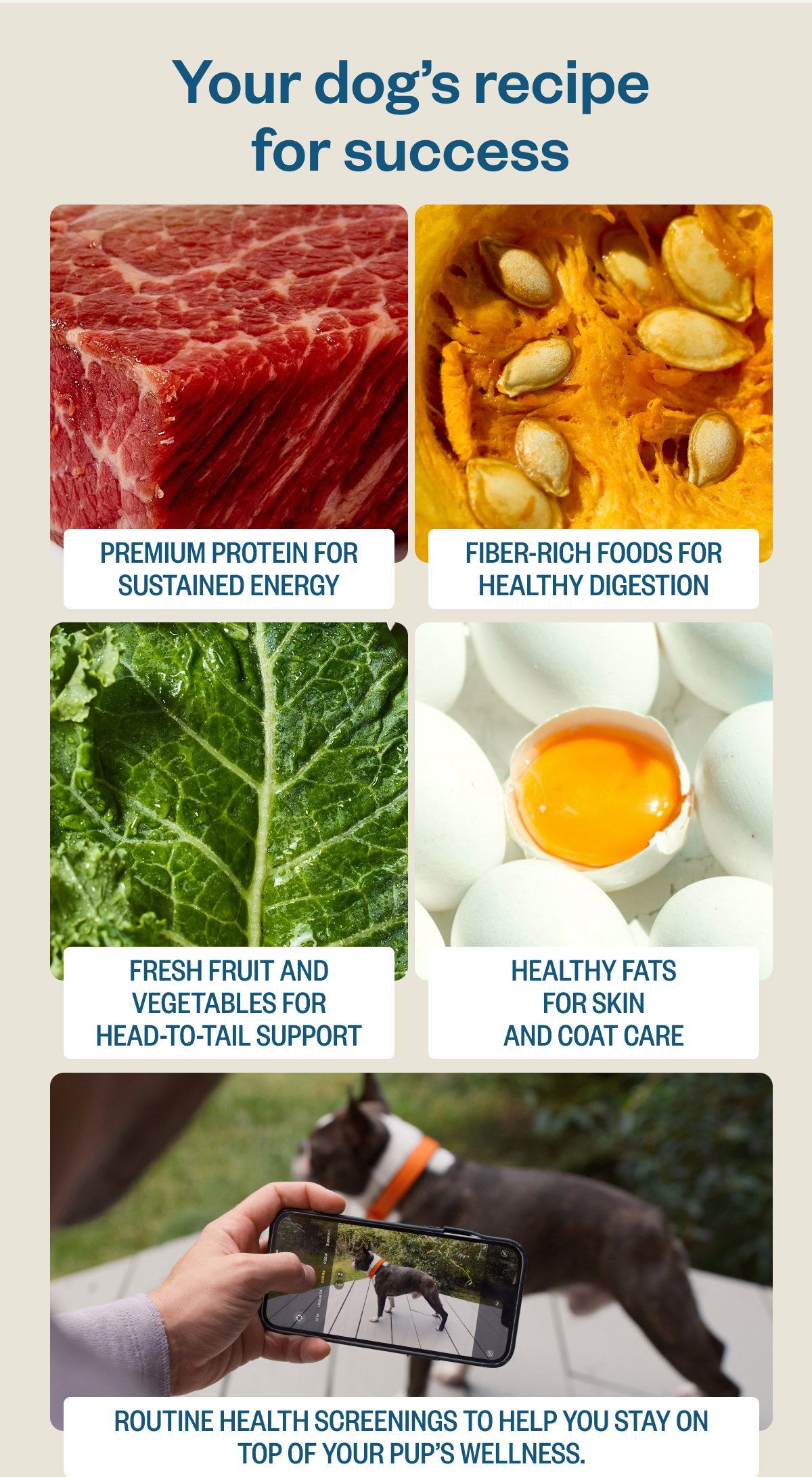 Your dog’s recipe for success Premium protein for sustained energy Fiber-rich foods for healthy digestion Fresh fruit and vegetables for head-to-tail support Healthy fats for skin and coat care.
