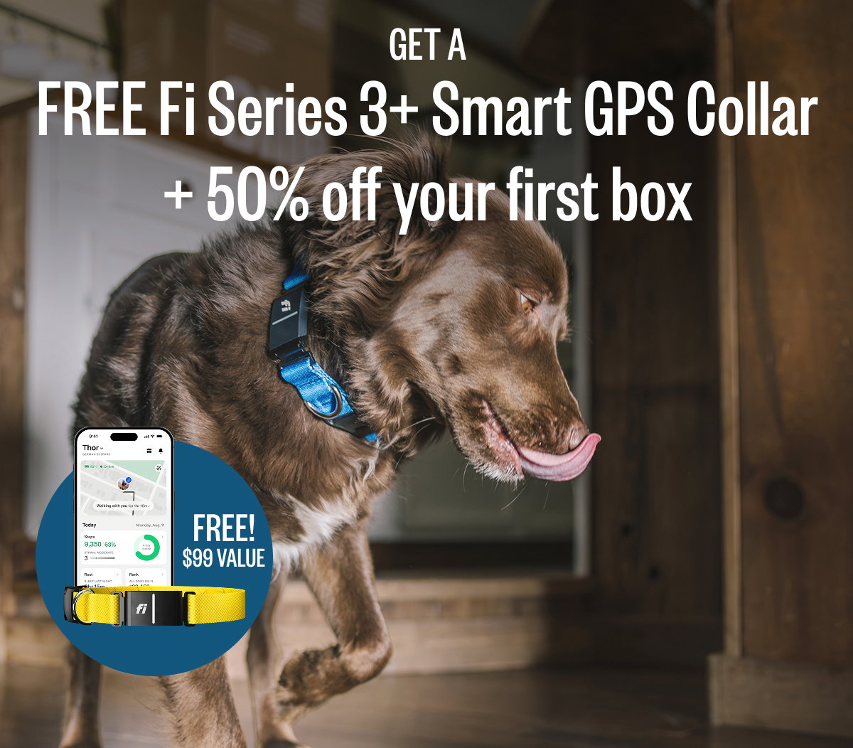 Get a FREE Fi Series 3+ Smart GPS Collar + 50% off your first box