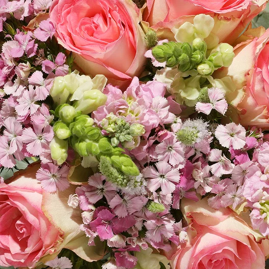 A close-up aerial view of a pink, purple and cream bouquet including roses, stocks, and dianthus.