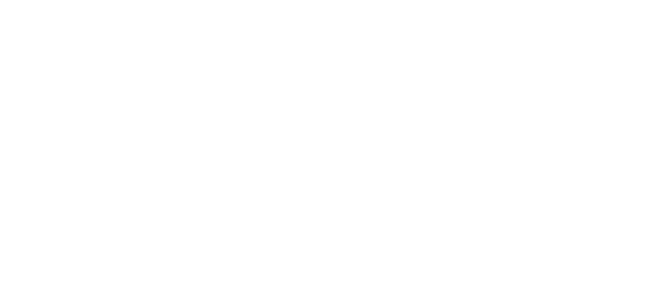 bloomandwild.com