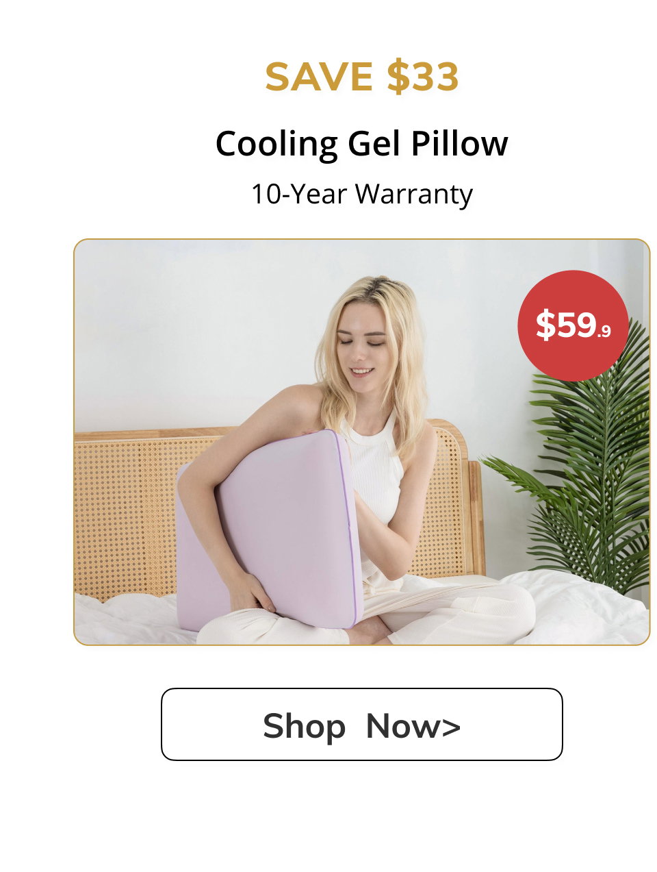 SAVE $33 Cooling Gel Pillow 10-Year Warranty